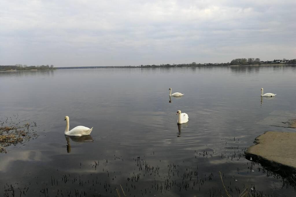 Latgales 266 6 Can Stay Self Check In Out River 200M Riga Luaran gambar